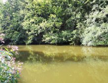 Lehce zakalená, prosvícená a prohřátá zátoka nevěstí nic dobrého, ale když si povšimnete stínu pod stromy, tam je vždy dobré místo i za takového počasí. Nahazujte pod převisle větvě např. zatíženou nymfu či menší tmavý streamer a buďte vytrvalí!