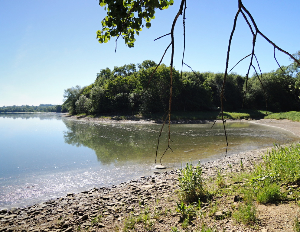 Hork� slune�n� den, m�lk� z�toka s velk�m mno�stv�m bahenn�ho sedimentu, kter� se odlepil ze dna a plyny ho vynesly a� na povrch. Pro n�koho naprosto nevhodn� podm�nky, ale i v takov�ch m�stech lze ulovit hezkou rybu p�i tro�e vytrvalosti.