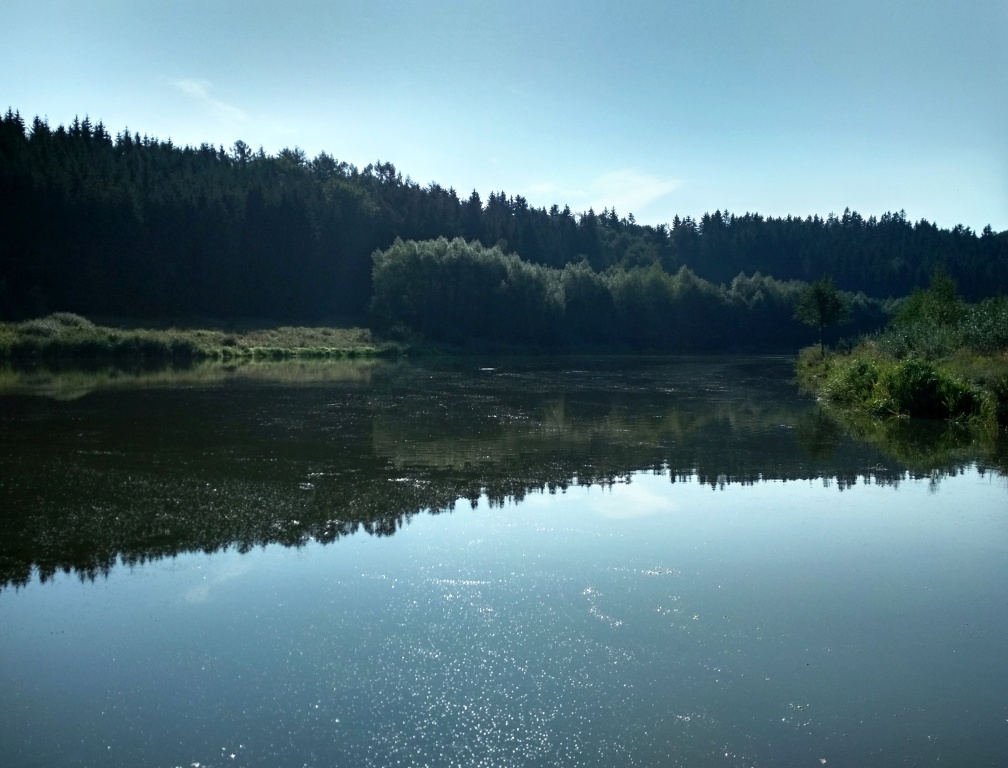 Na men��ch stojat�ch soukrom�ch vod�ch, kde si kupujete denn� povolenku, je situace samoz�ejm� "vyhrocen�j��". Jedn� se v�t�inou o otev�en� rybn�ky bez �lenit�ho r�zu dna i p��b�e�n� vegetac�, kter� by zaji��ovala st�n a ryb�m bezpe�n� �kryt.