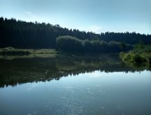 Na menších stojatých soukromých vodách, kde si kupujete denní povolenku, je situace samozřejmě "vyhrocenější". Jedná se většinou o otevřené rybníky bez členitého rázu dna i příbřežní vegetací, která by zajišťovala stín a rybám bezpečný úkryt.