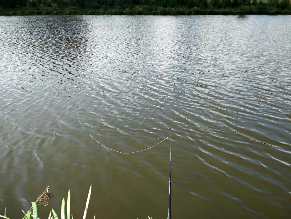 M�rn� v�tr s lehk�mi vlnkami je �asto vysvobozen�m z utrpen�. Ryby jsou v takov� dny absolutn� nete�n� v��i aktivn� stahovan�m mu�k�m! Proto je plovouc� ���ra s voln� un�en�mi vzory nen�padn�ch nymf �asto jedin� "efektivn�" metoda lovu!