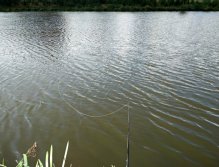 Mírný vítr s lehkými vlnkami je často vysvobozením z utrpení. Ryby jsou v takové dny absolutně netečně vůči aktivně stahovaným muškám! Proto je plovoucí šňůra s volně unášenými vzory nenápadných nymf často jediná "efektivní" metoda lovu!