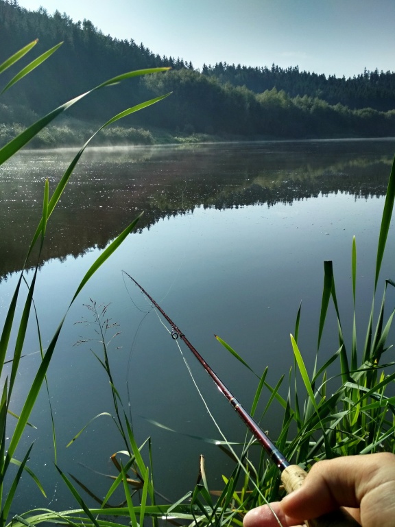 V momentu, kdy je hladina jako zrcadlo a teploty p�esahuj� �nosnou normu je lov na stojat� vod� opravdu t�k� a podm�nky jsou n�ro�n� jak pro ryby, tak i pro ryb��e. Pokud se ale nechcete jen tak vzd�t, najd�te si dobr� �kryt a vytrvejte v lovu!