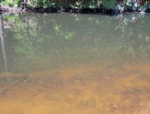 Ideální místo pro lov. Přechod světlé mělčiny do tmavší hlubiny, kde stojí velké množství drobných rybek. Pstruzi většinou jezdi ve stínu pod břehem a vyrážejí lovit do těchto hejn. Popř. velice často jsou zde přítomní i slušní okouni!