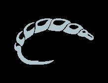 Okrla - A Norwegian Salmon Adventure! Trailer