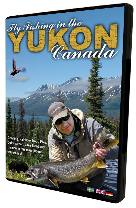 Fly fishing in the Yukon, Canada