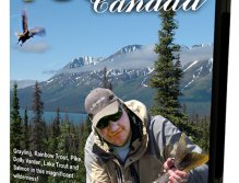 Fly fishing in the Yukon, Canada