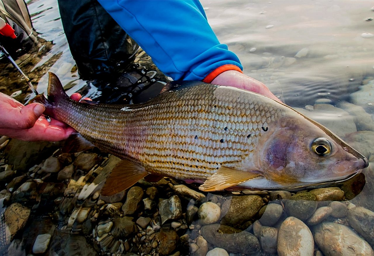 Mu�ka�en� v Rakousku a Bavorsku