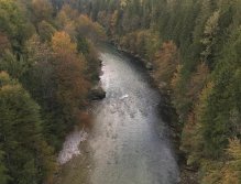 Muškaření v Rakousku a Bavorsku