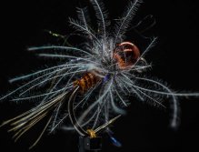 Tungstenové mušky pro muškaření v Rakousku