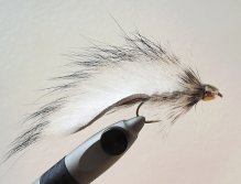 AR Silver Conehead Raccoon Zonker