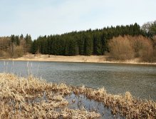 Krásný jarní den a velice pěkné místo na PK2 poblíž přítoku. K tomu mírný vítr vanoucí zleva doprava. Při takovém příbřežním porostu je ideální zabrodit kousek od břehu. Bude se vám lépe házet a podebírat úlovek!