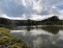 Pohled na PK2 z mého oblíbeného loveckého stanoviště. Většina rybářů loví z hráze, případně z protilehlé strany s hlubší vodou. Na tomto místě se ale dno pozvolna zvažuje do hloubky a na takových místech pstruzi často vyhledávají potravu!