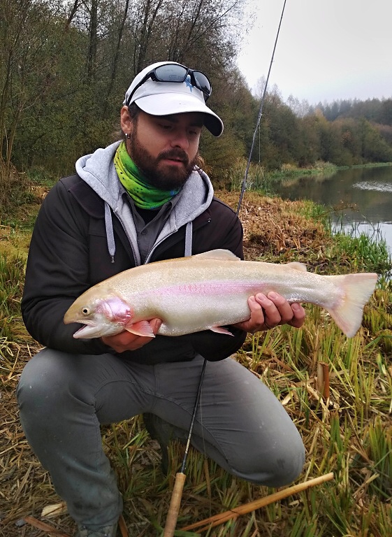 Velk� zlat� duh�ky lov�m v podzimn�m obdob� s velk�mi �sp�chy na vzor AR Fish Fry Booby Streamer, kter� pomalu stahuji na intermedi�ln� �i pot�piv� ����e v p��b�e�n�ch parti�ch, kter� tyto zlat� ryby �asto proj�d�j�, ale nereaguj� na jin� druhy mu�ek.