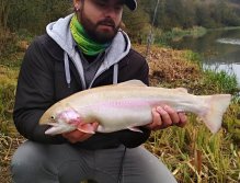 Velké zlaté duháky lovím v podzimním období s velkými úspěchy na vzor AR Fish Fry Booby Streamer, který pomalu stahuji na intermediální či potápivé šňůře v příbřežních partiích, které tyto zlaté ryby často projíždějí, ale nereagují na jiné druhy mušek.