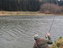 Díl III. Vypadá to, že nakonec vše dobře dopadne! Jakmile je ryba připravena, položte podběrák do vody a rybu nad něj v klidu naveďte! Jakmile bude ryba ve vymezeném prostoru, podběrák nadzvedněte! Jiným postupem rybu zbytečně tmavou sítí poplašíte!