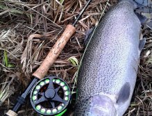 Pěkný zimní duhák ulovený na pomalu stahovanou AR Peacock Head Viva Special na horní části přehrady PK1. V chladnější období se zde ryby soustřeďují a v případě, že se jim v rámci krátkých žracích okének trefíte do jídelníčku, máte naději na pěkný úlovek!