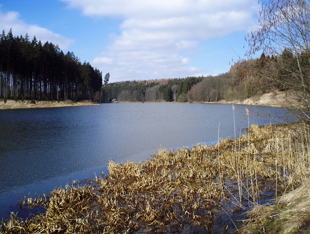 Dostanete se s n�m tak nap�. do m�st, kter� jsou ze b�ehu �patn� p��stupn�! Takov� m�sta jsou �asto skv�l� v tom, �e je do nich "nafoukan�" v�t�� mno�stv� ryb, pop�. se zde skr�vaj� ryby, kter� nejsou tolik popla�en� a jsou tak d�v��iv�j�� k na�im mu�k�m!