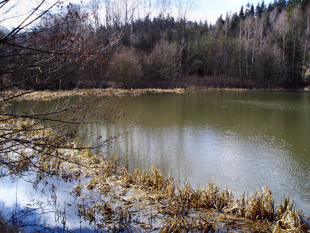 V zatopen�m r�kos� �asto pstruzi vyhled�vaj� �kryt p�ed pred�tory, kter�mi jsou zde - vedle vytrval�ch ryb��� - hlavn� �tiky v hojn�m mno�stv�m! Pokud tato m�sta budete prochyt�vat s v�t��mi n�strahami, vedle pstruh� m��ete zaseknout i p�knou �tiku!