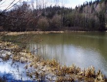 V zatopeném rákosí často pstruzi vyhledávají úkryt před predátory, kterými jsou zde - vedle vytrvalých rybářů - hlavně štiky v hojném množstvím! Pokud tato místa budete prochytávat s většími nástrahami, vedle pstruhů můžete zaseknout i pěknou štiku!