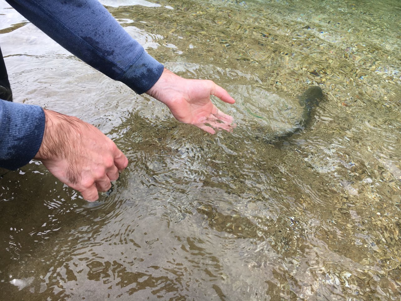 Jezern� mu�ka�en� v Trentino