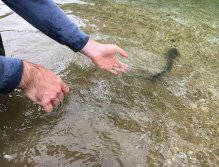 Jezerní muškaření v Trentino