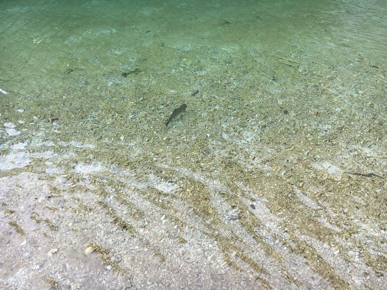 Jezern� mu�ka�en� v Trentino