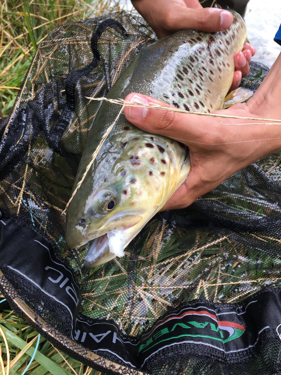 Jezern� mu�ka�en� v Trentino