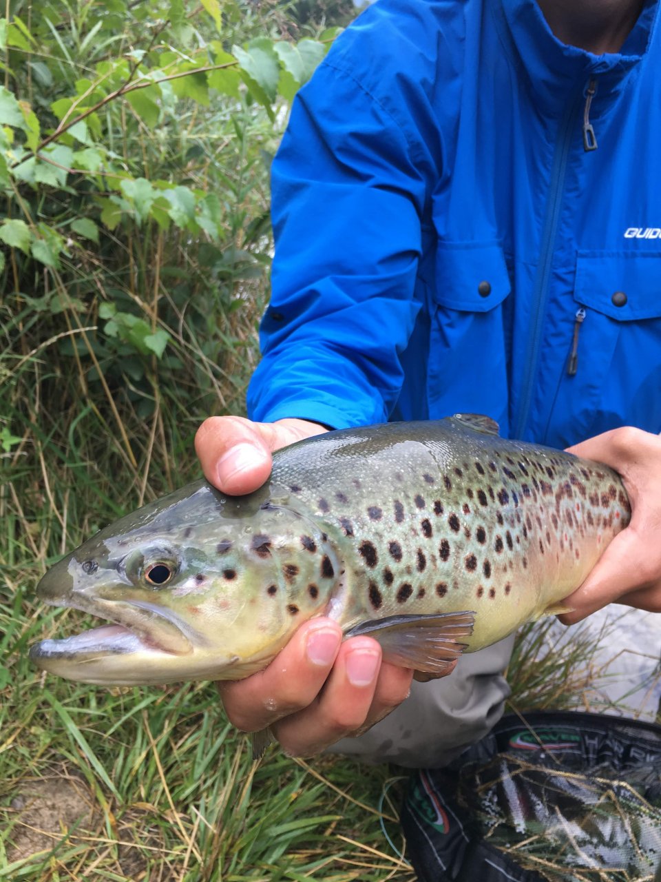 Jezern� mu�ka�en� v Trentino