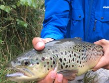 Jezerní muškaření v Trentino