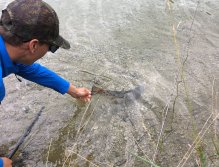 Jezerní muškaření v Trentino