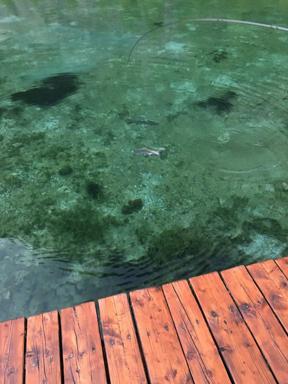 Jezern� mu�ka�en� v Trentino