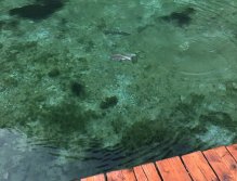 Jezerní muškaření v Trentino