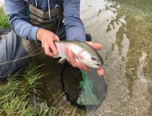 Jezerní muškaření v Trentino