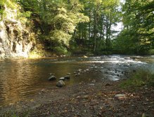 Divoká Orlice v okolí Potštejna