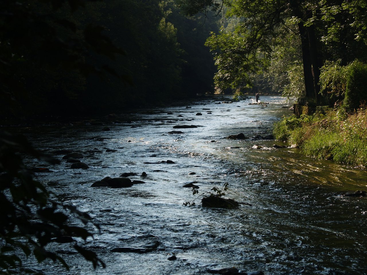 Divok� Orlice v okol� Pot�tejna