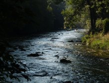 Divoká Orlice v okolí Potštejna