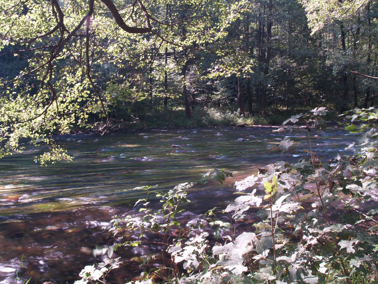 Divok� Orlice v okol� Pot�tejna