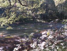 Divoká Orlice v okolí Potštejna