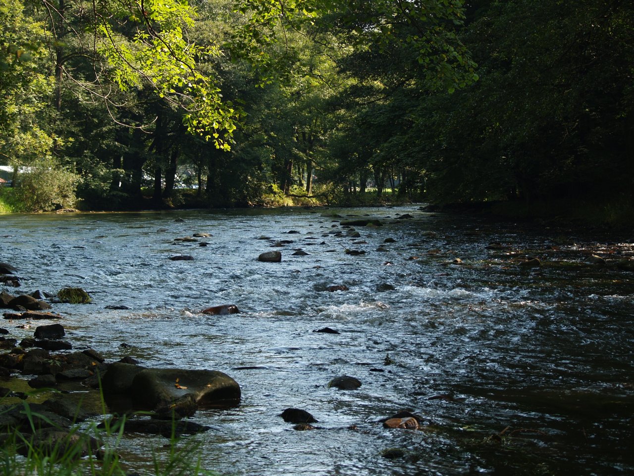 Divok� Orlice v okol� Pot�tejna