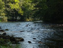 Divoká Orlice v okolí Potštejna