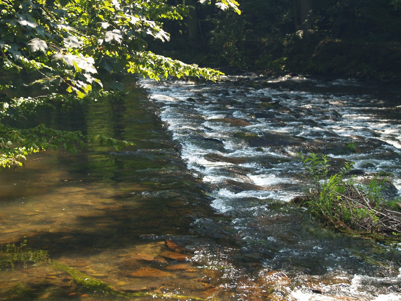 Divok� Orlice v okol� Pot�tejna