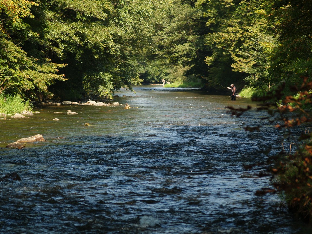 Divok� Orlice v okol� Pot�tejna