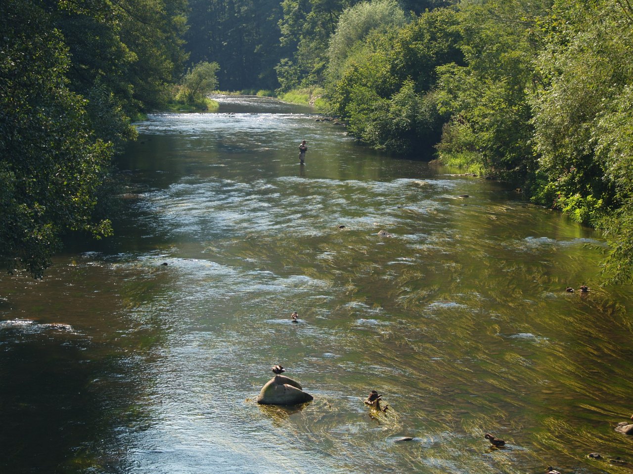 Divok� Orlice v okol� Pot�tejna