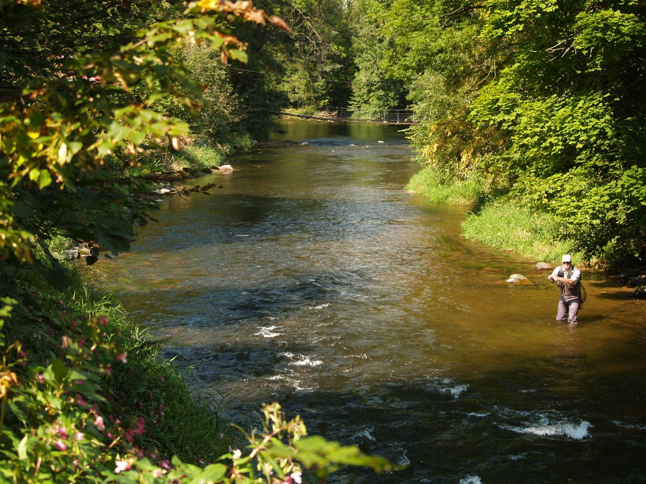 Divok� Orlice v okol� Pot�tejna