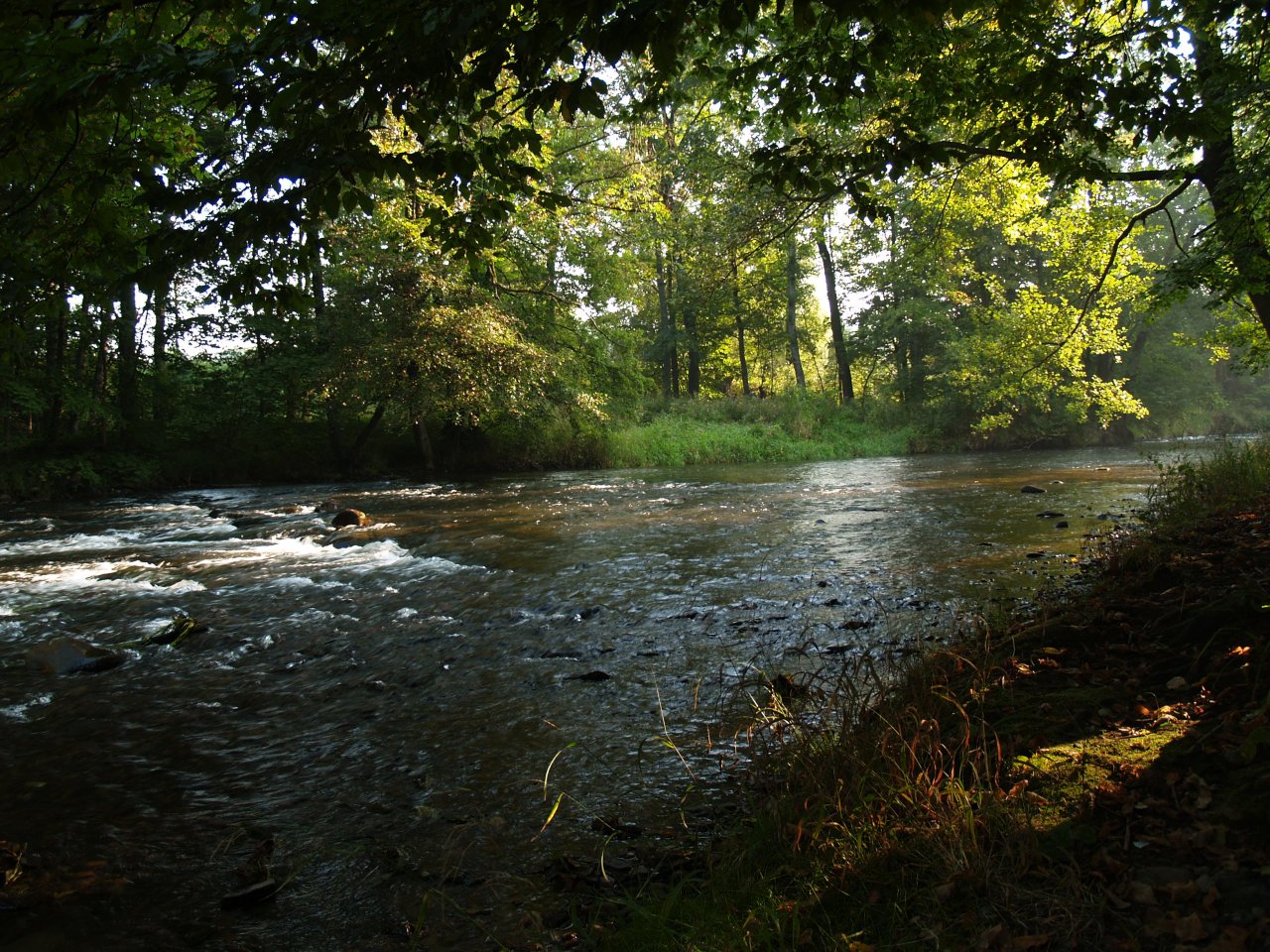 Divok� Orlice v okol� Pot�tejna