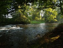 Divoká Orlice v okolí Potštejna
