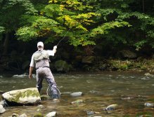 Divoká Orlice v okolí Potštejna