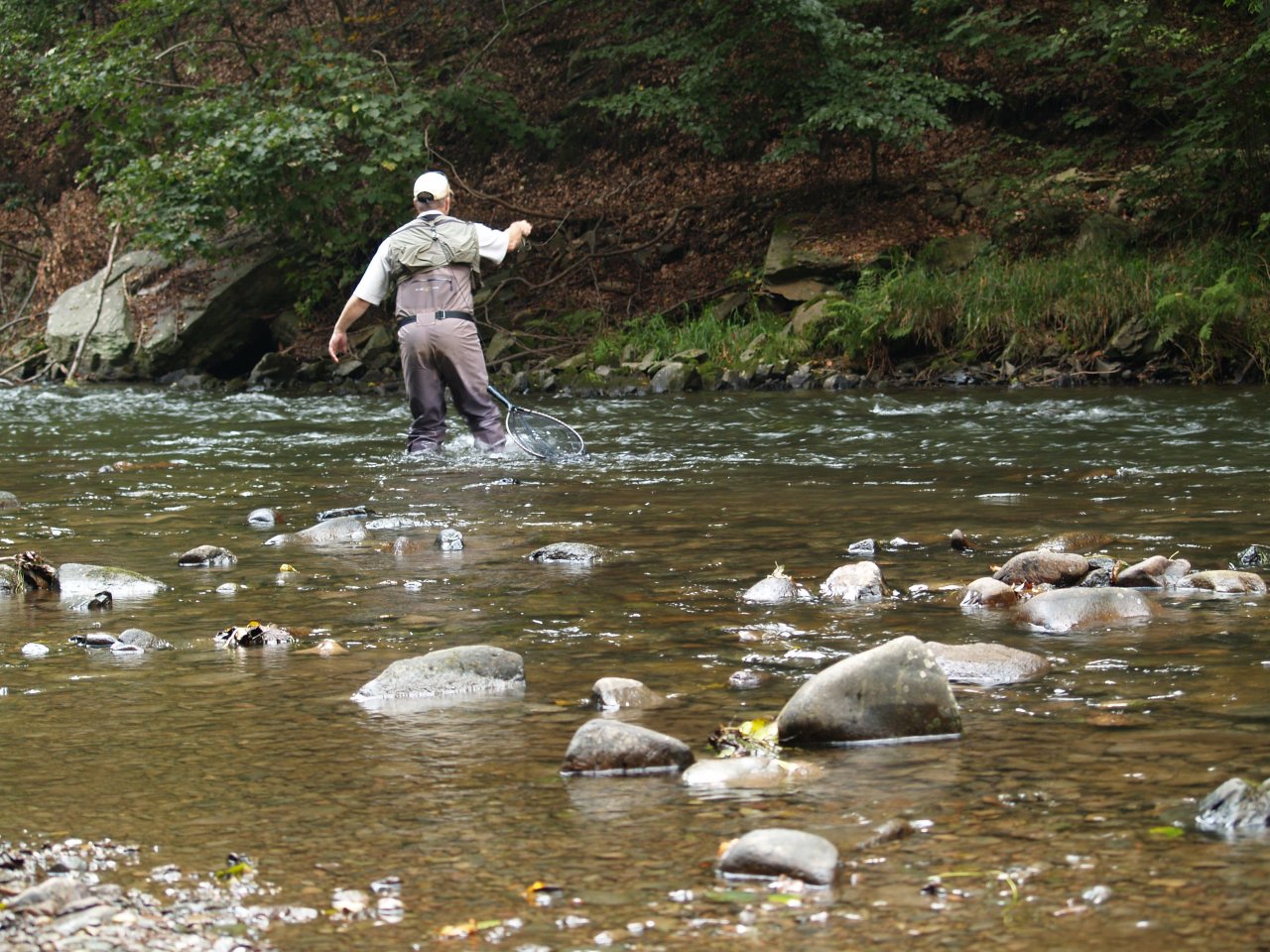 Divok� Orlice v okol� Pot�tejna