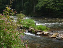 Divoká Orlice v okolí Potštejna